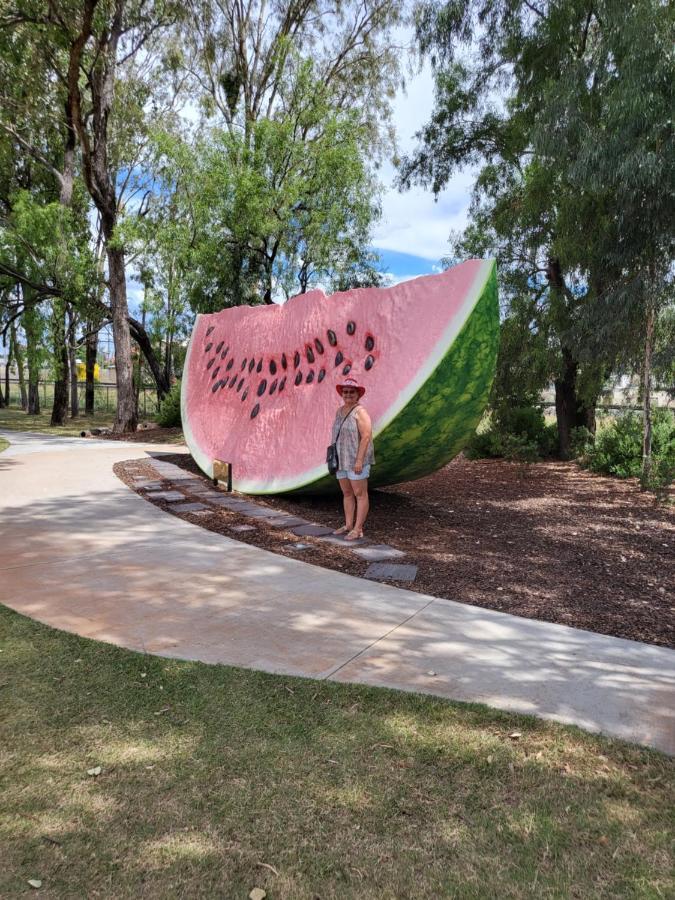 מלון Chinchilla Tourist Park מראה חיצוני תמונה
