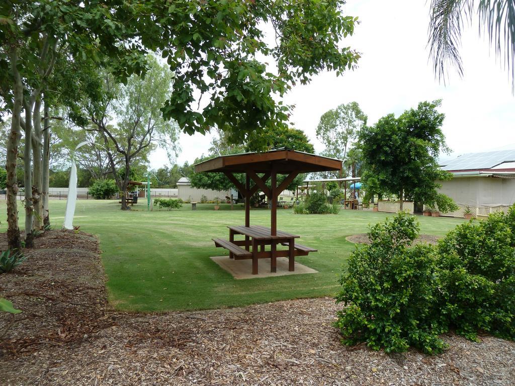 מלון Chinchilla Tourist Park מראה חיצוני תמונה
